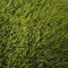 Ландшафтная трава